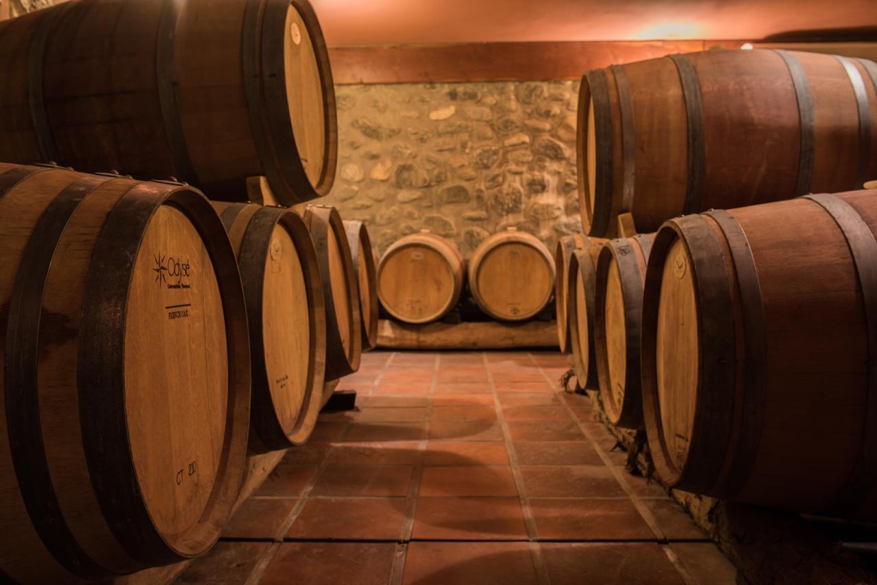 La Casa De La Bodega - Wine Boutique Hotel Cafayate Extérieur photo